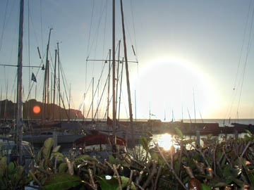 太陽に輝くヨットハーバーの写真